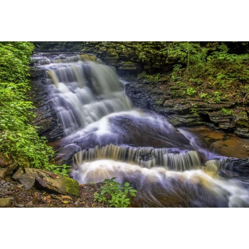 Pennsylvania, Ricketts Glen SP Delaware Falls
